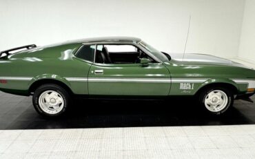 Unknown-Mustang-1973-Ivy-Glow-Black-10