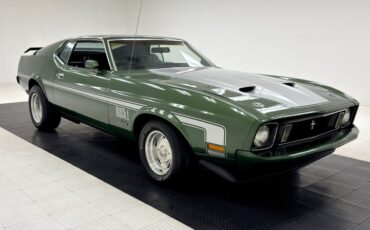 Unknown-Mustang-1973-Ivy-Glow-Black-11