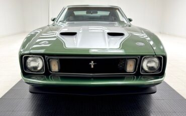 Unknown-Mustang-1973-Ivy-Glow-Black-12