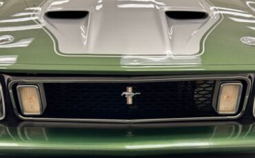 Unknown-Mustang-1973-Ivy-Glow-Black-13