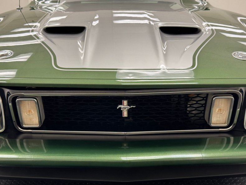 Unknown-Mustang-1973-Ivy-Glow-Black-13