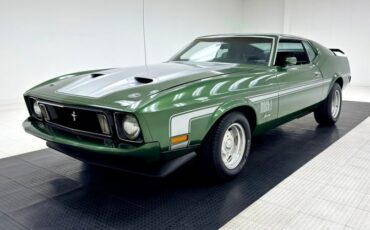 Unknown-Mustang-1973-Ivy-Glow-Black-15