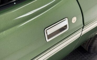 Unknown-Mustang-1973-Ivy-Glow-Black-19