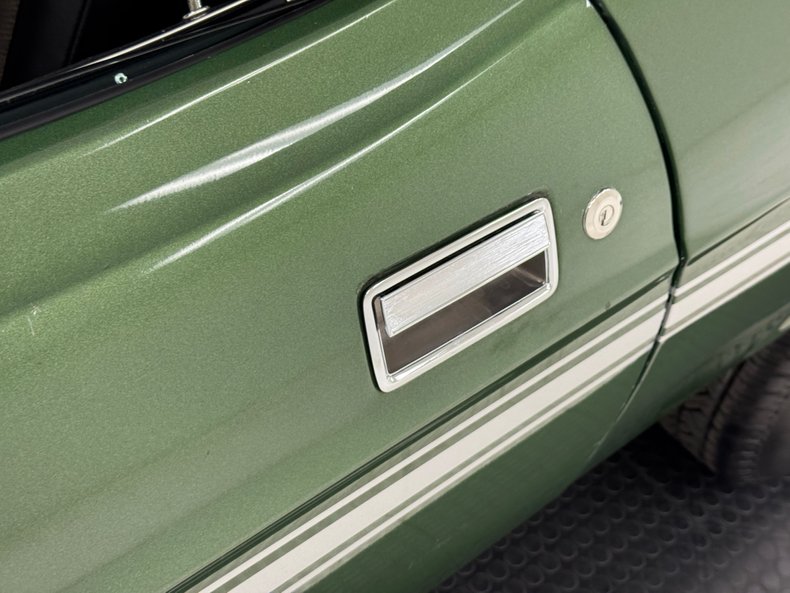 Unknown-Mustang-1973-Ivy-Glow-Black-19
