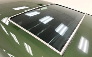 Unknown-Mustang-1973-Ivy-Glow-Black-20