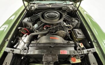 Unknown-Mustang-1973-Ivy-Glow-Black-26