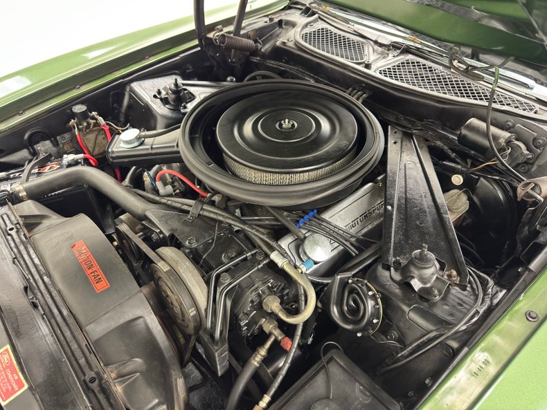 Unknown-Mustang-1973-Ivy-Glow-Black-27