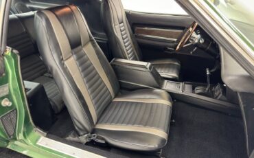 Unknown-Mustang-1973-Ivy-Glow-Black-33