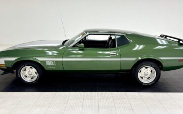 Unknown-Mustang-1973-Ivy-Glow-Black