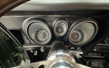 Unknown-Mustang-1973-Ivy-Glow-Black-38