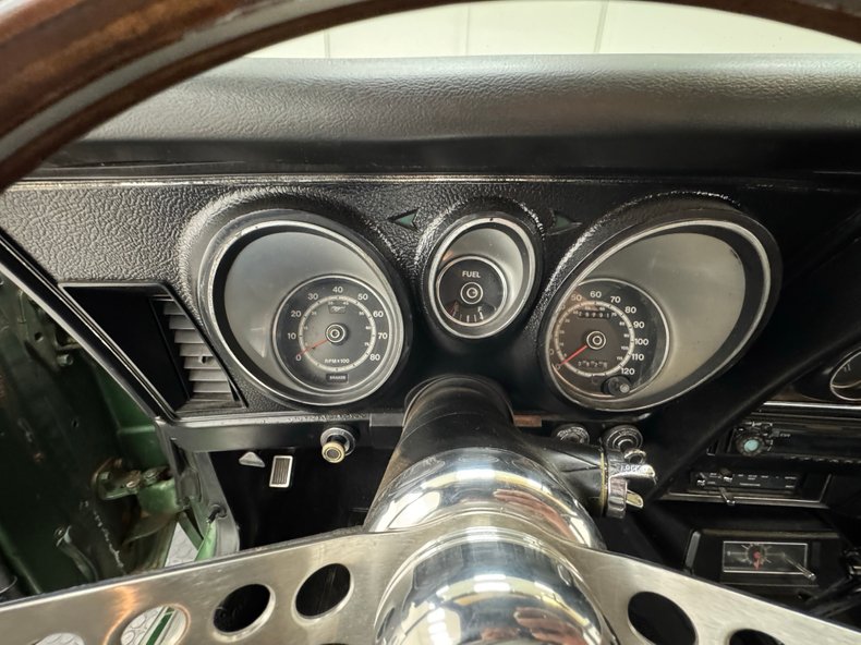 Unknown-Mustang-1973-Ivy-Glow-Black-38
