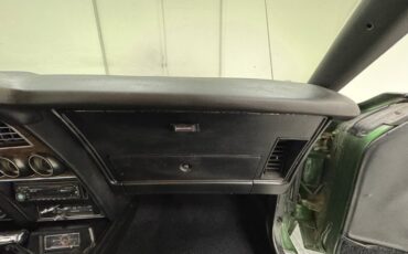 Unknown-Mustang-1973-Ivy-Glow-Black-41