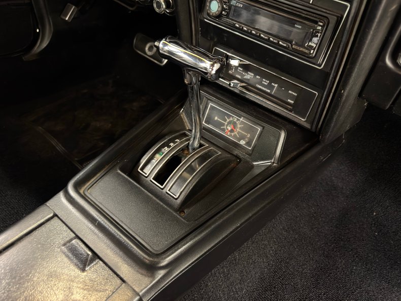 Unknown-Mustang-1973-Ivy-Glow-Black-42
