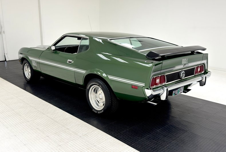 Unknown-Mustang-1973-Ivy-Glow-Black-7