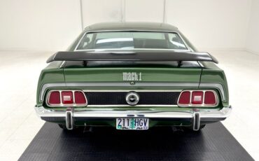 Unknown-Mustang-1973-Ivy-Glow-Black-8