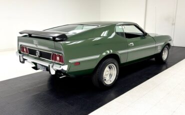 Unknown-Mustang-1973-Ivy-Glow-Black-9