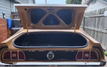 Unknown-Mustang-1973-Matte-GoldBlack-Vin-Ginger-11