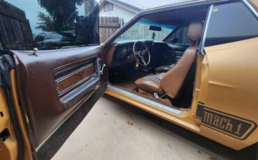 Unknown-Mustang-1973-Matte-GoldBlack-Vin-Ginger-12