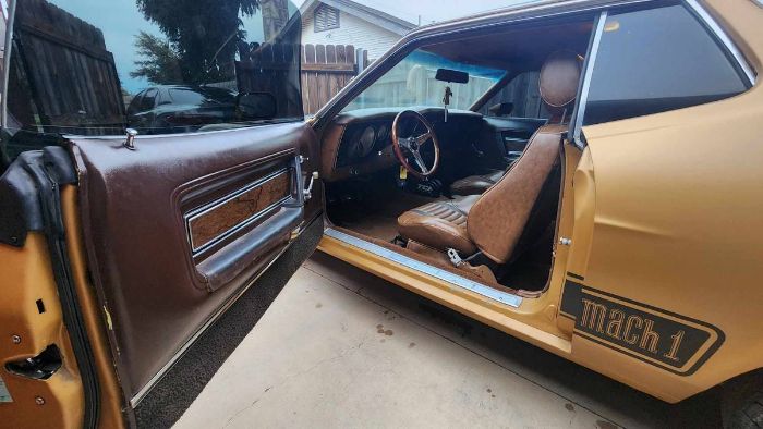 Unknown-Mustang-1973-Matte-GoldBlack-Vin-Ginger-12