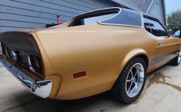 Unknown-Mustang-1973-Matte-GoldBlack-Vin-Ginger-13