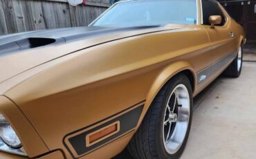 Unknown-Mustang-1973-Matte-GoldBlack-Vin-Ginger-14