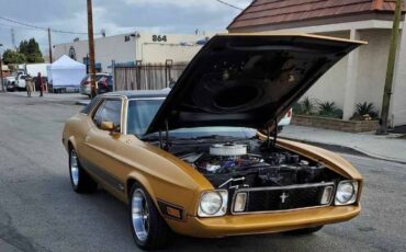 Unknown-Mustang-1973-Matte-GoldBlack-Vin-Ginger-15