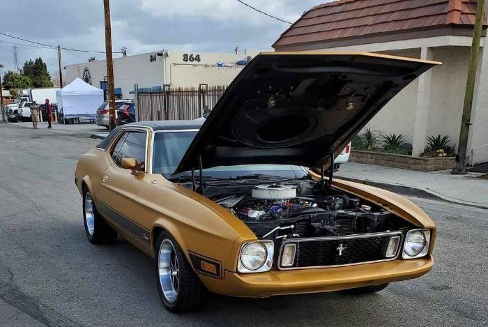 Unknown-Mustang-1973-Matte-GoldBlack-Vin-Ginger-15