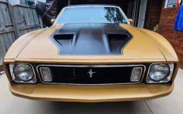 Unknown-Mustang-1973-Matte-GoldBlack-Vin-Ginger-16