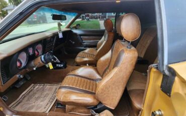 Unknown-Mustang-1973-Matte-GoldBlack-Vin-Ginger-5