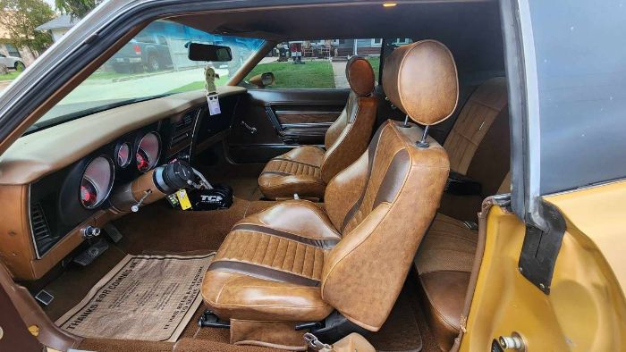 Unknown-Mustang-1973-Matte-GoldBlack-Vin-Ginger-5