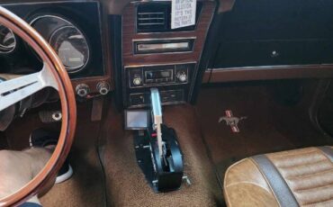 Unknown-Mustang-1973-Matte-GoldBlack-Vin-Ginger-6