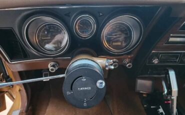 Unknown-Mustang-1973-Matte-GoldBlack-Vin-Ginger-7