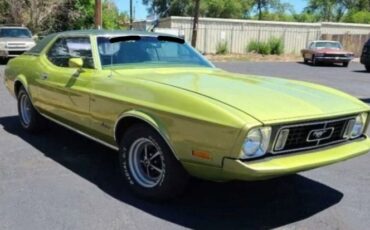 Unknown-Mustang-1973-Moss-Forest-Green-Moss-Forest-Green-1