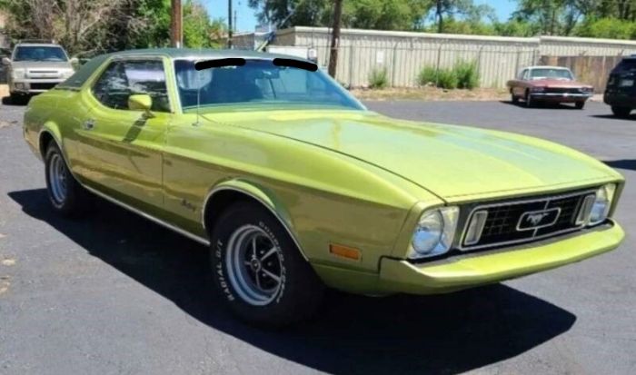 Unknown-Mustang-1973-Moss-Forest-Green-Moss-Forest-Green-1