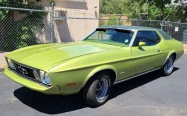 Unknown-Mustang-1973-Moss-Forest-Green-Moss-Forest-Green-2
