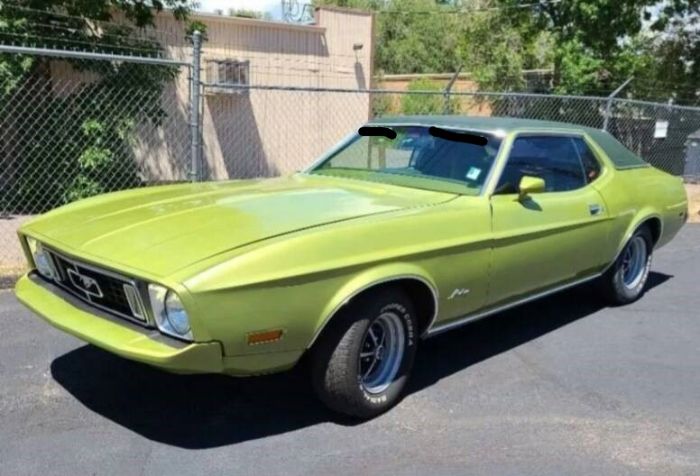 Unknown-Mustang-1973-Moss-Forest-Green-Moss-Forest-Green-2