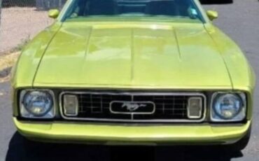 Unknown-Mustang-1973-Moss-Forest-Green-Moss-Forest-Green-5