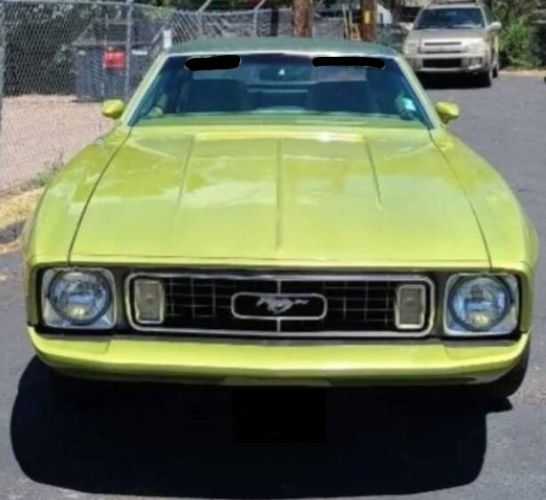 Unknown-Mustang-1973-Moss-Forest-Green-Moss-Forest-Green-5