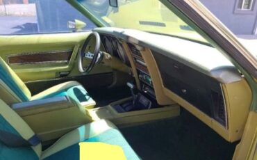Unknown-Mustang-1973-Moss-Forest-Green-Moss-Forest-Green-6