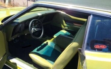 Unknown-Mustang-1973-Moss-Forest-Green-Moss-Forest-Green-7
