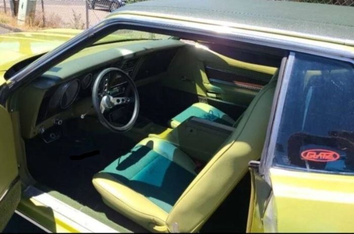 Unknown-Mustang-1973-Moss-Forest-Green-Moss-Forest-Green-7