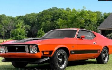 Unknown-Mustang-1973-Orange-Black-15