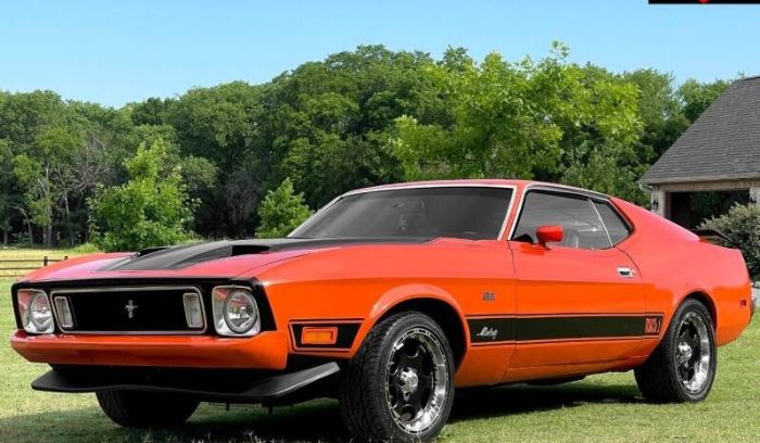 Unknown-Mustang-1973-Orange-Black-15