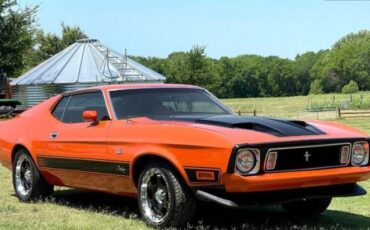 Unknown-Mustang-1973-Orange-Black-16