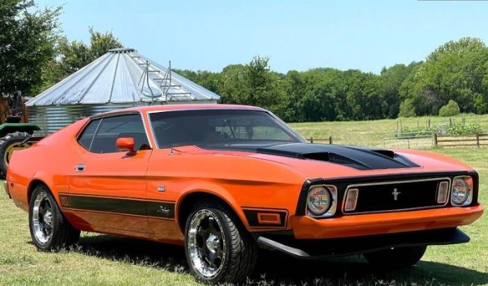 Unknown-Mustang-1973-Orange-Black-16