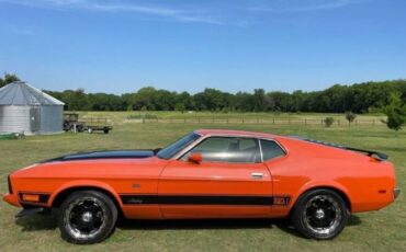 Unknown-Mustang-1973-Orange-Black-8