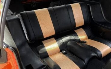 Unknown-Mustang-1973-Orange-Black-9