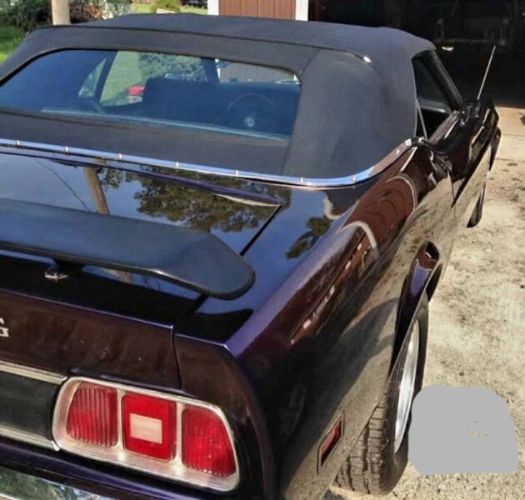 Unknown-Mustang-1973-Purple-Gray-4