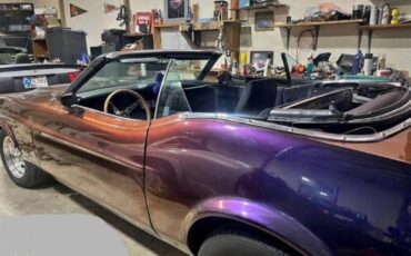 Unknown-Mustang-1973-Purple-Gray-6