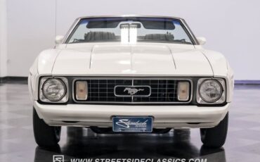Unknown-Mustang-1973-White-Black-32